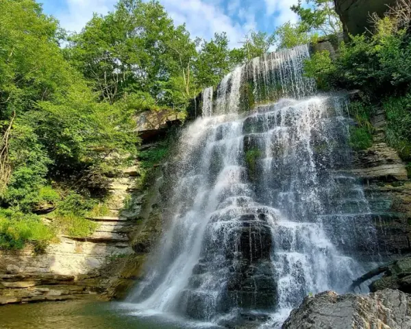 Cascata rigogliosa tra rocce e vegetazione lussureggiante, un angolo di paradiso vicino a Badia Tedalda.