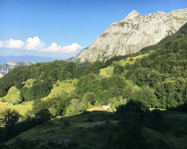 Un piccolo rifugio solitario ai piedi del **Puntato Apuane**, circondato da boschi verdi e montagne imponenti sotto un cielo azzurro.