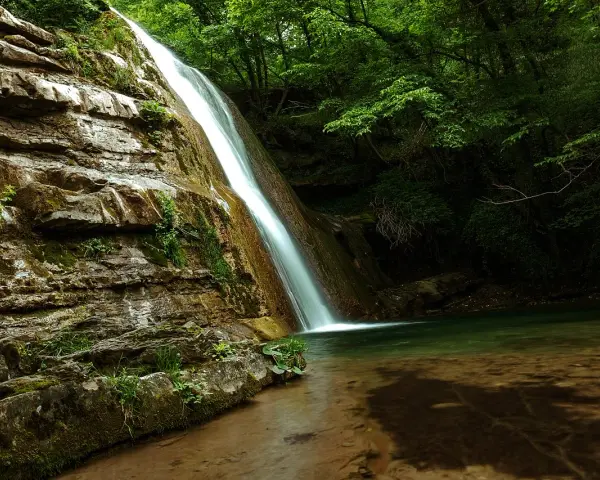 Le cascate dell'Acquacheta scendono su rocce muschiose in una foresta lussureggiante, creando un'oasi di pace.
