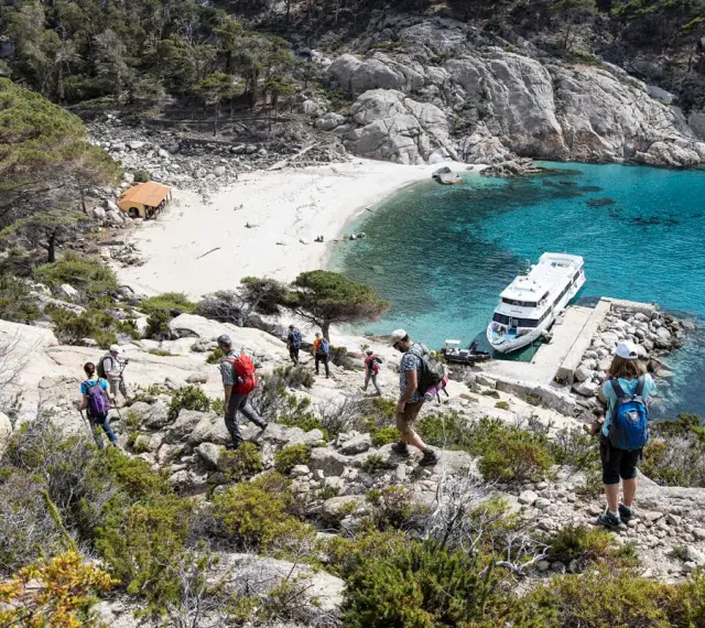 Escursionisti esplorano i sentieri rocciosi dell'isola di Montecristo, con una spiaggia bianca e acque turchesi. Una nave attende nel porto naturale.