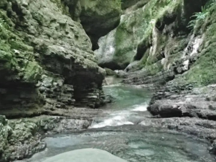 Un torrente scorre tra le rocce scoscese e muschiose dell'orrido di Botri, creando un paesaggio selvaggio e suggestivo.