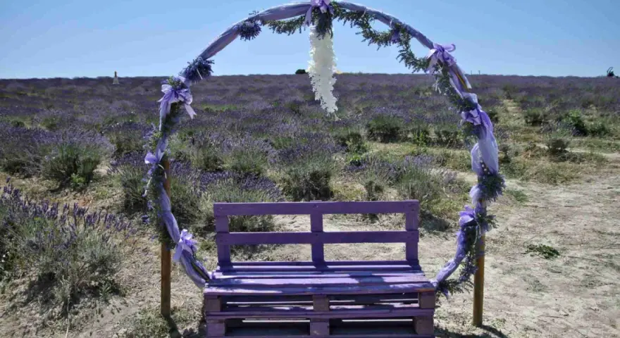 Un arco decorato con nastri viola e fiori di lavanda incornicia una panchina dello stesso colore, immersi in un campo di lavanda sotto una santa luce.