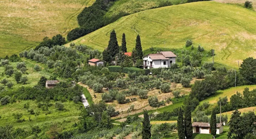 Colline verdi con uliveti e vigneti vicino a San Casciano. Una casa bianca con tetto rosso domina il paesaggio.