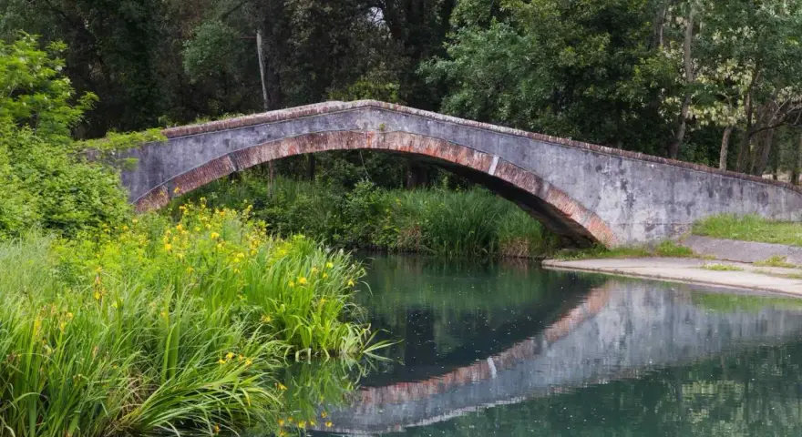 Ponte in pietra nel parco della Versiliana, con vegetazione lussureggiante e fiori gialli che si specchiano nell'acqua calma.