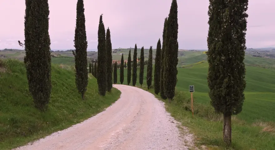 Strada bianca tra i cipressi di San Quirico d'Orcia, con dolci colline verdi e cielo rosato.