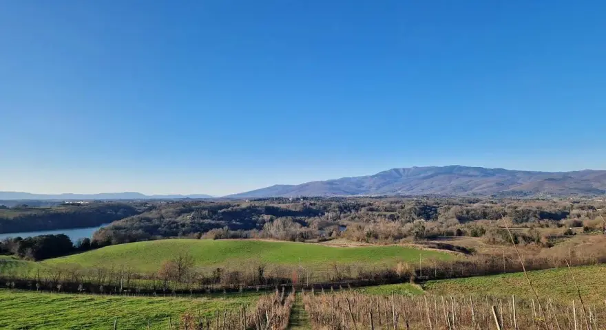 Vigneti e colline verdi nella riserva naturale Ponte a Buriano e Penna, con montagne sullo sfondo sotto un cielo azzurro.