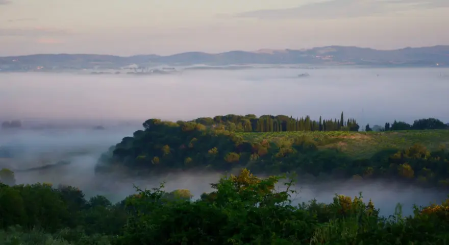 Nebbia mattutina avvolge la valle del fiume Merse, con colline verdi e filari di cipressi che emergono dalla foschia.