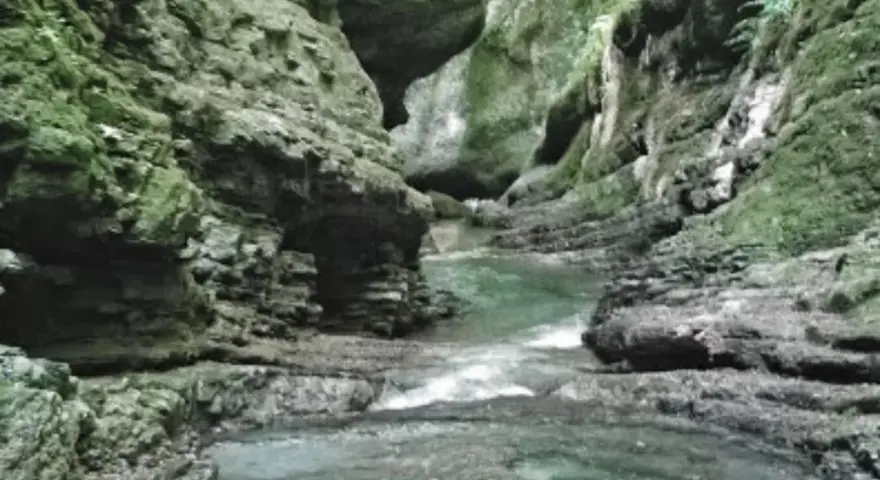 Un torrente scorre tra le rocce scoscese e muschiose dell'orrido di Botri, creando un paesaggio selvaggio e suggestivo.