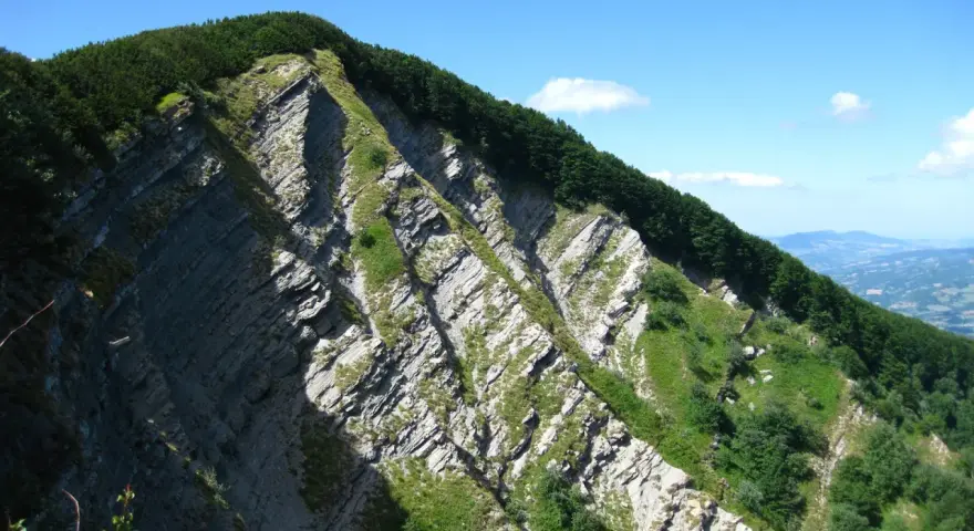 Ripida parete rocciosa con stratificazioni evidenti, coperta da vegetazione verde e alberi. Il cielo è azzurro con qualche nuvola.