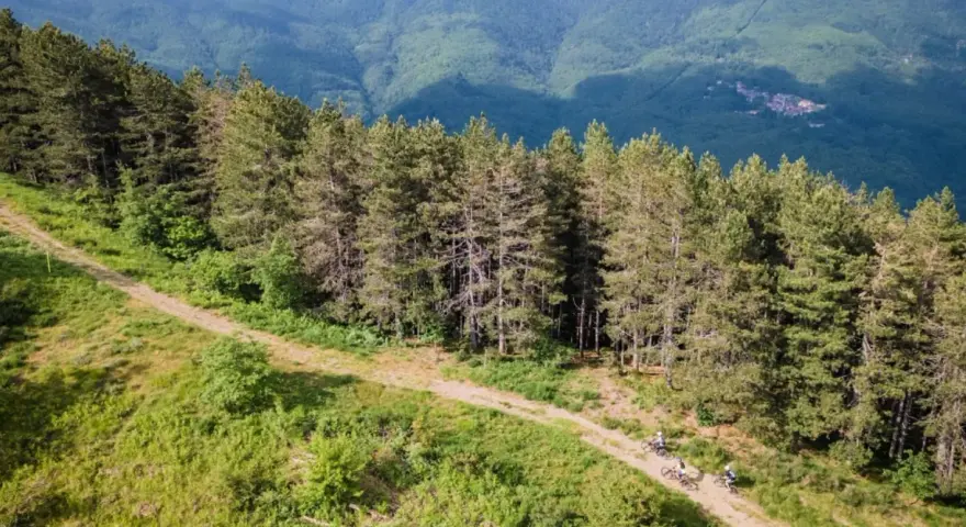 Ciclisti su un sentiero sterrato ai margini di una pineta, con montagne verdi sullo sfondo. Un'avventura sul passo del Brattello.