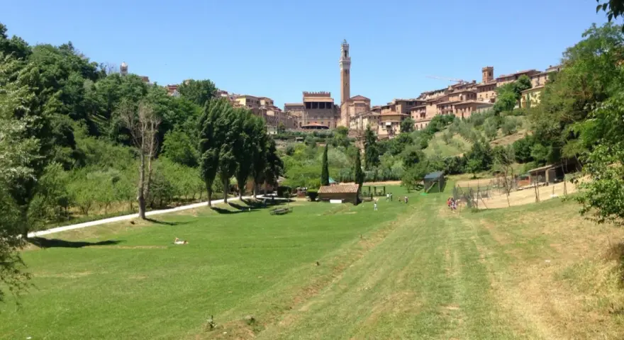 Prato verde con alberi e la città di Siena sullo sfondo, con la Torre del Mangia visibile. Un luogo tranquillo, forse l'orto dei pecci siena.