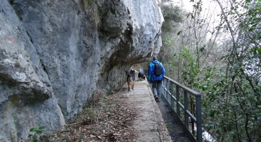 Passeggiata con cani lungo un sentiero stretto sotto una roccia sporgente, simile a una grotta all'onda.