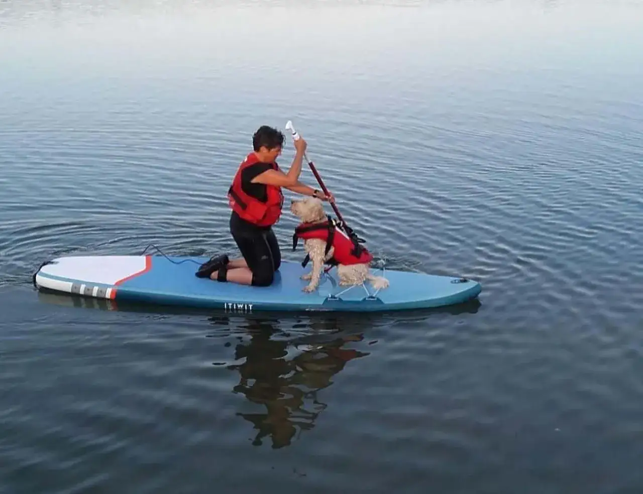 Donna e cane su paddleboard nel lago di Bilancino, entrambi con giubbotti di salvataggio.