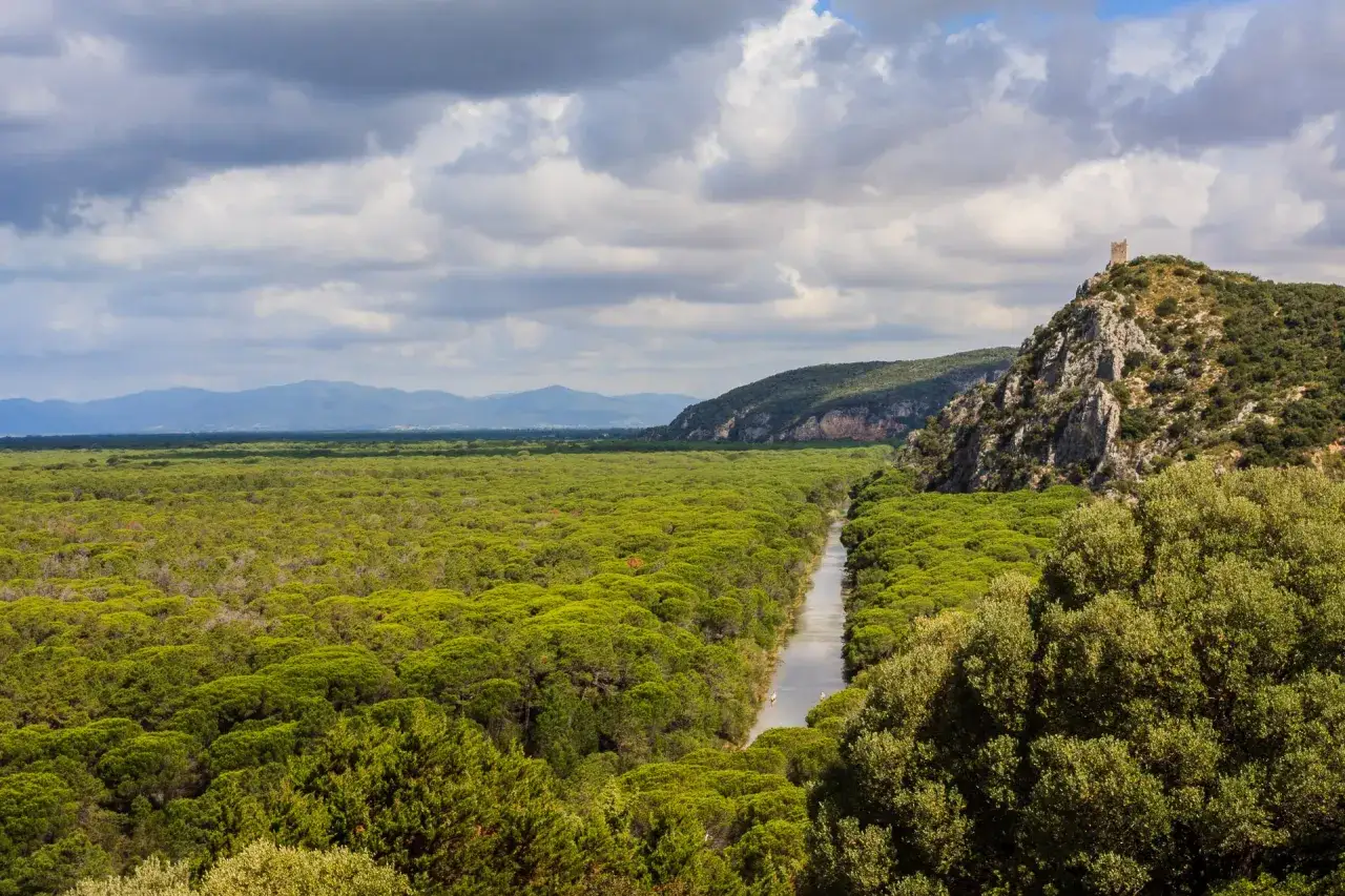 Un fiume serpeggia tra fitti boschi verdi, un paesaggio tipico dei parchi della Toscana, con una torre antica su una collina rocciosa.