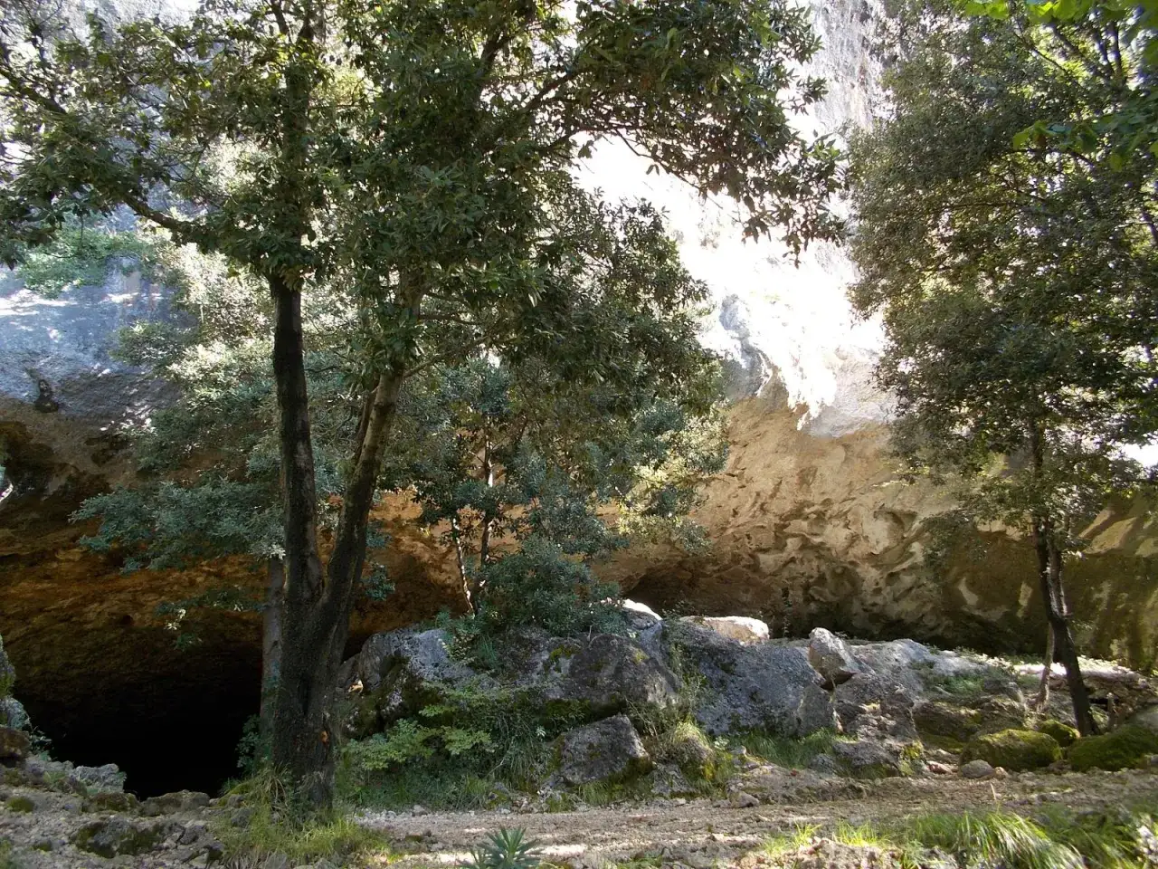 Ingresso di una grotta all'onda, con alberi e rocce che ne celano l'oscurit&agrave;.