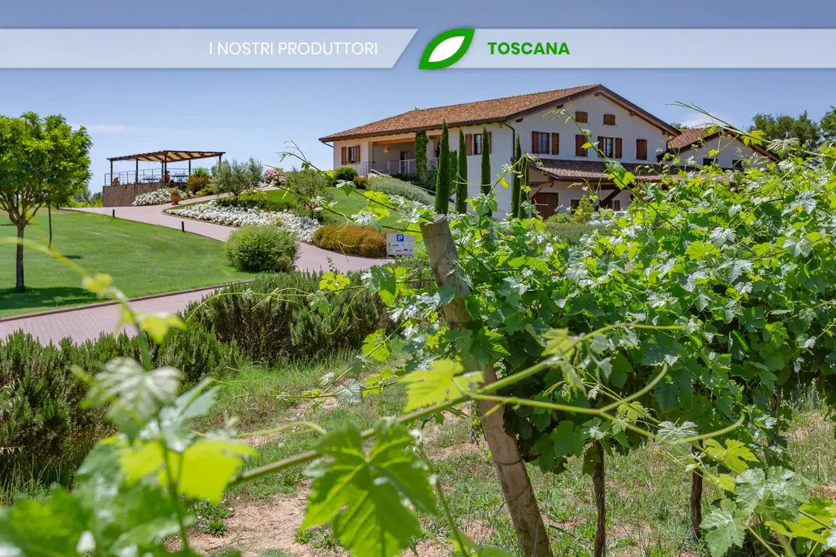 Vigneti rigogliosi e una villa toscana, dove si trova la cantina Baldetti, immersa nel verde.