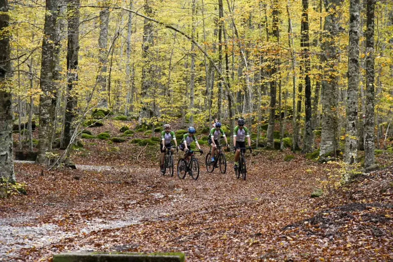 Ciclisti in un bosco autunnale, un'avventura di amiata freeride tra foglie dorate e alberi maestosi.
