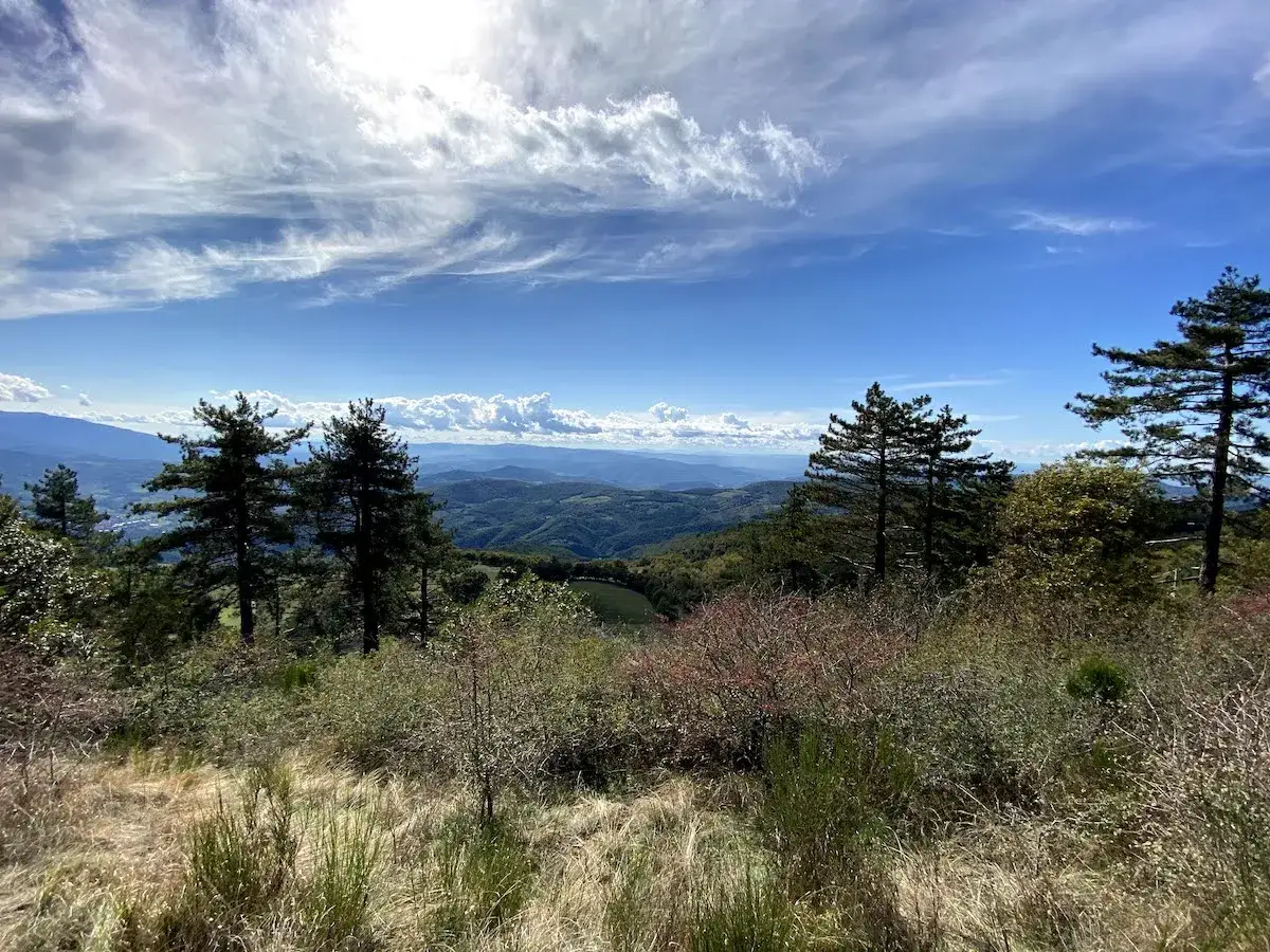 Panoramica mozzafiato dal monte Giovi, con colline verdi e un cielo azzurro pieno di nuvole bianche.