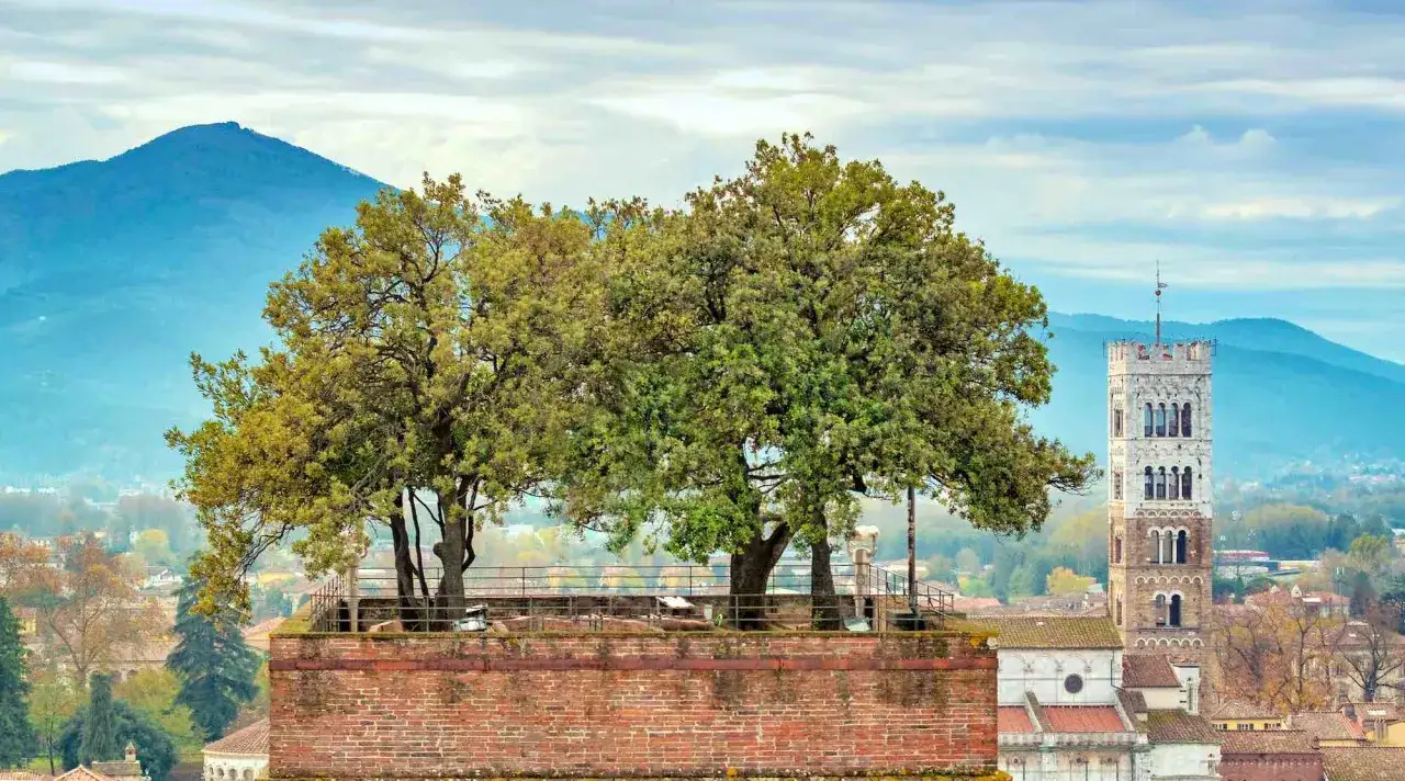 Alberi svettano dalla cima della torre Guinigi a Lucca, con montagne sullo sfondo.