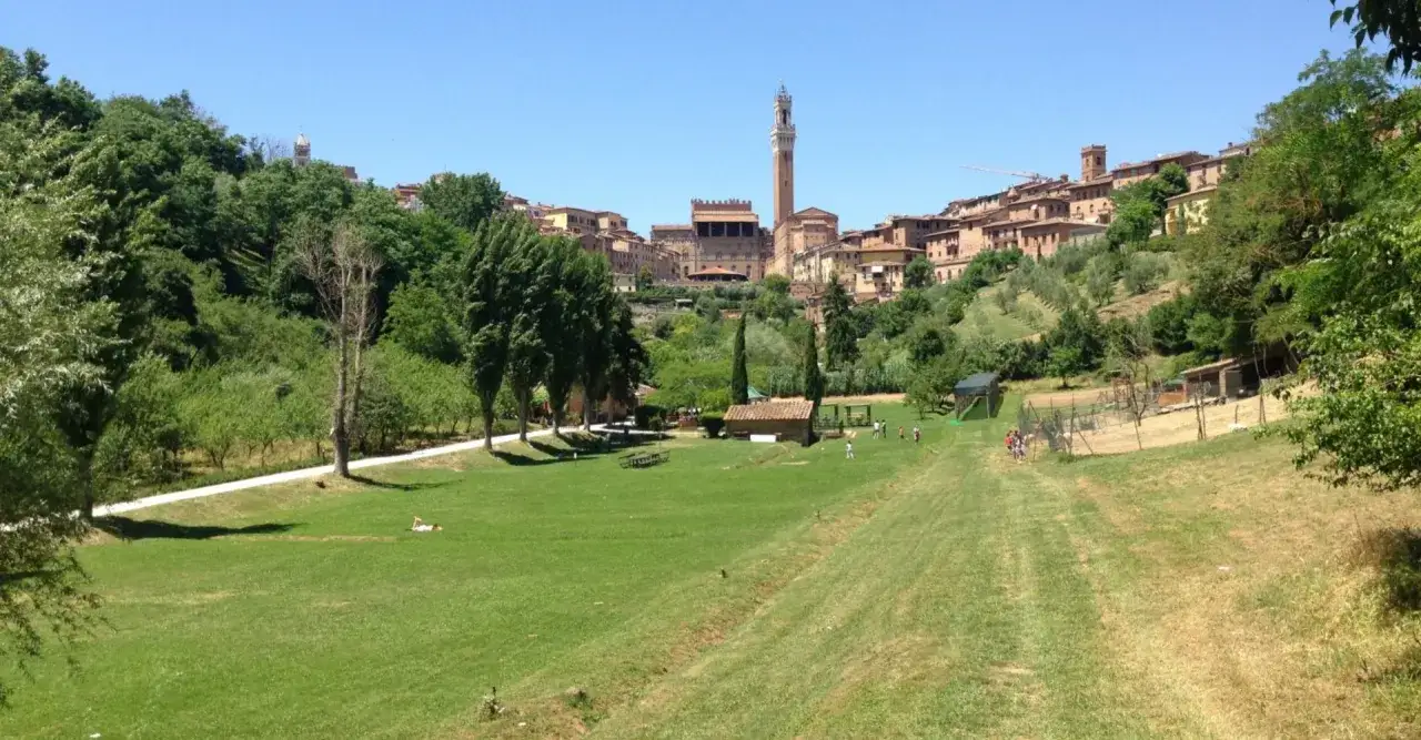 Un prato verde e alberi nel l'orto dei pecci Siena, con la città medievale sullo sfondo.