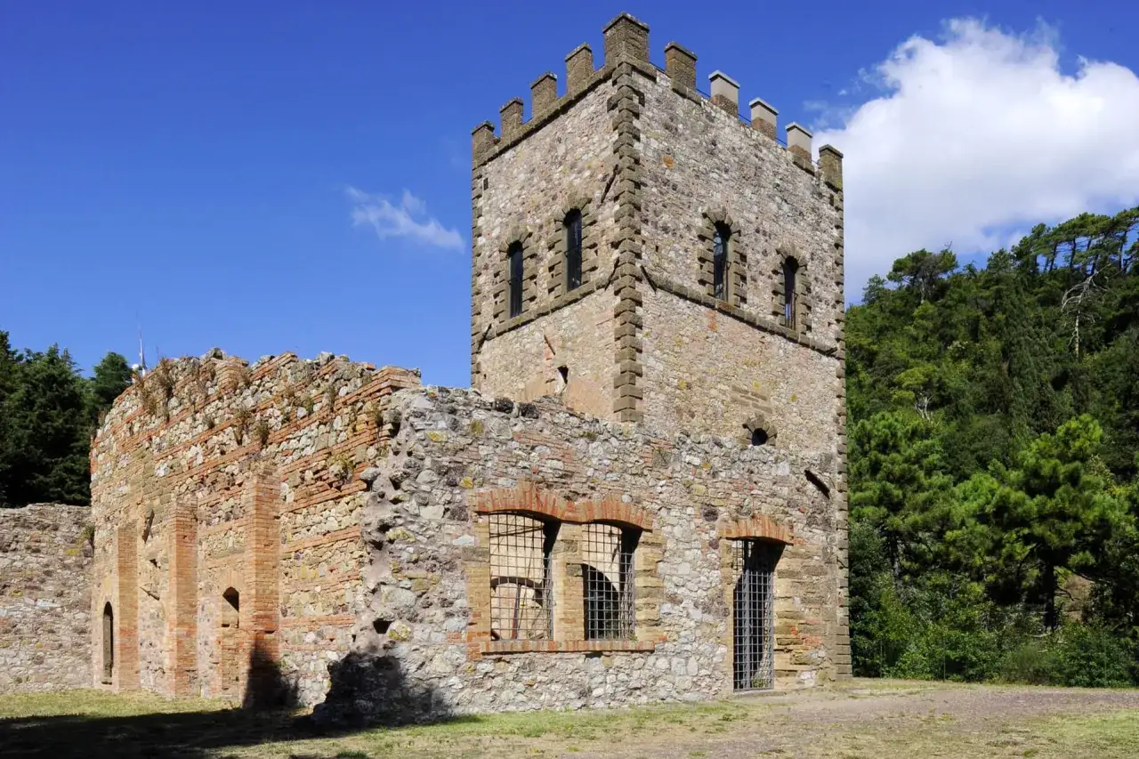 Rovine di un castello a Montecatini Val di Cecina, con una torre merlata e mura in pietra e mattoni, circondato da alberi verdi.