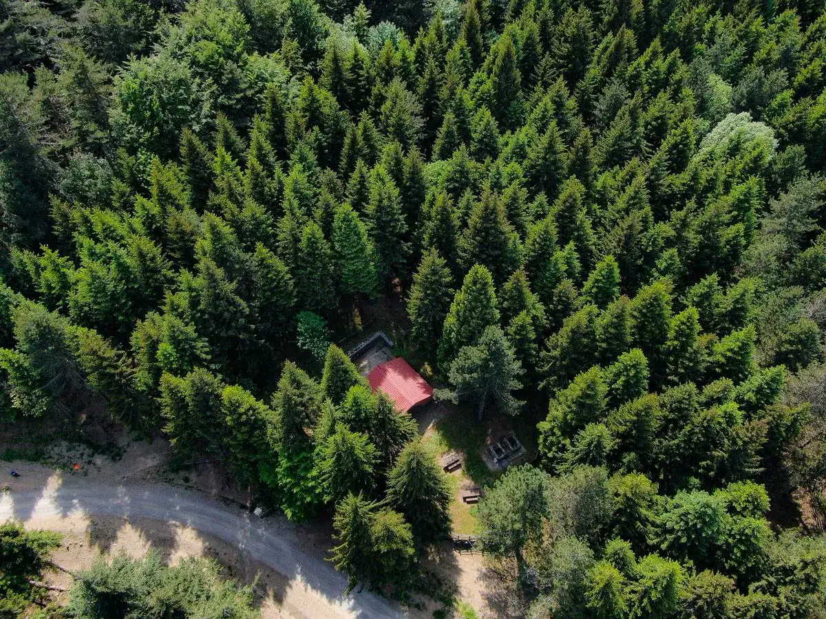 Un rifugio con tetto rosso si nasconde tra gli alberi fitti, vicino a una strada sterrata. Un luogo tranquillo nel passo del Brattello.