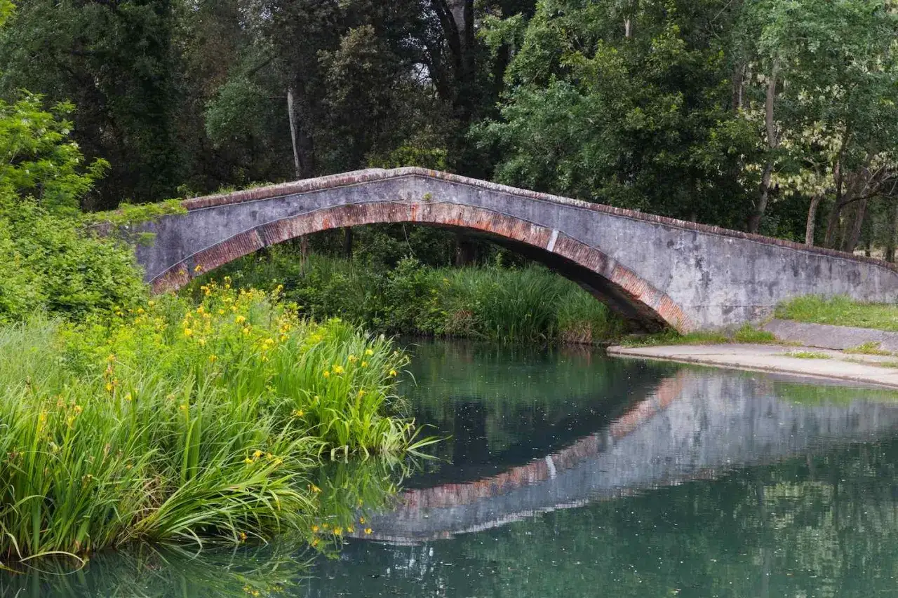 Ponte in pietra nel parco della Versiliana, con vegetazione lussureggiante e fiori gialli che si specchiano sull'acqua calma.