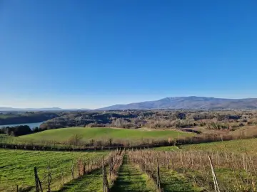 Vigneti e colline verdi nella riserva naturale Ponte a Buriano e Penna, con montagne sullo sfondo sotto un cielo azzurro.