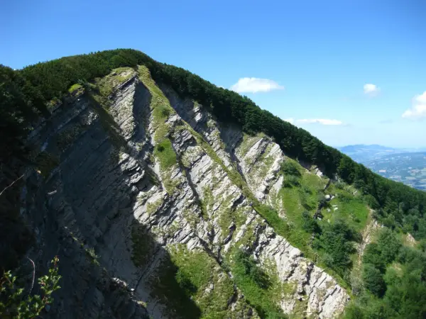 Ripida parete rocciosa con stratificazioni evidenti, coperta da vegetazione verde e alberi. Il cielo è azzurro con qualche nuvola.
