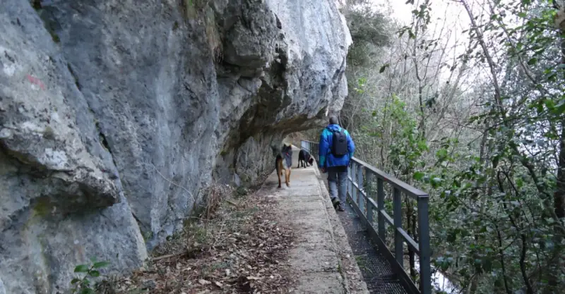 Passeggiata con cani lungo un sentiero stretto sotto una roccia sporgente, simile a una grotta all'onda.